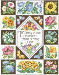 (image for) Nature's Wisdom Sampler